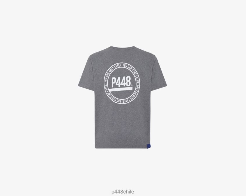 ropa 8ZN2P0220 camiseta gris unisexo P448