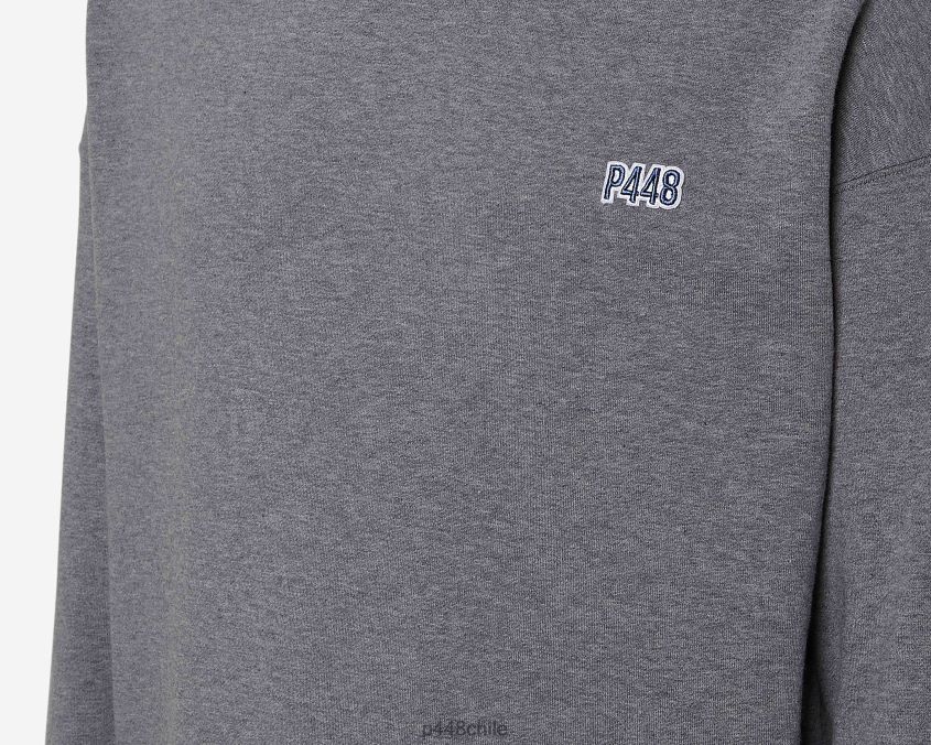 ropa 8ZN2P0214 sudadera con capucha gris unisexo P448