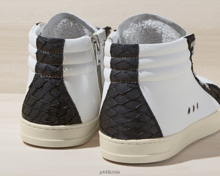 zapatos 8ZN2P0121 carpa skate negro mujer P448