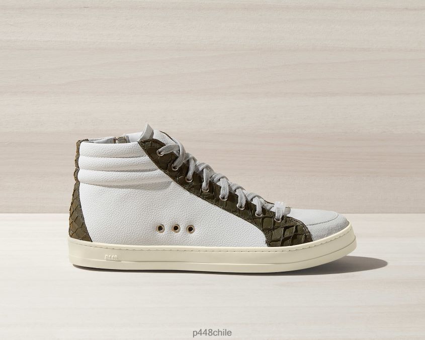 zapatos 8ZN2P0122 cactus carpa patinadora mujer P448