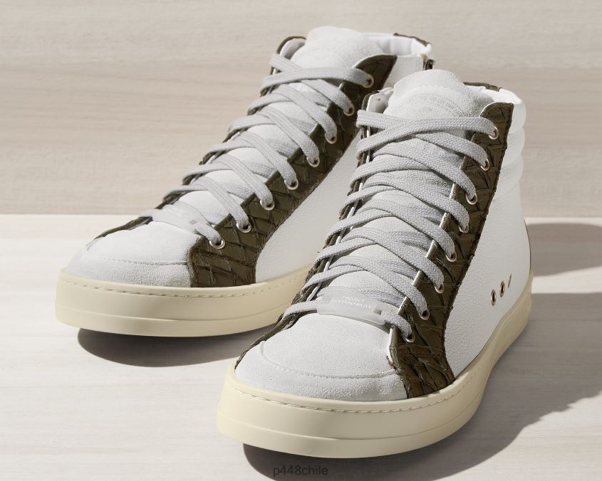 zapatos 8ZN2P0122 cactus carpa patinadora mujer P448